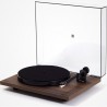 REGA PLANAR 1 WALNUT