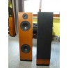 NAIM AUDIO ARIVA